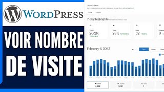 Comment Voir Le Nombre De Visite Sur Un Site Wordpress [upl. by Nytsirc]