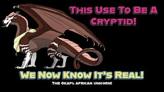 The Okapi It Was A Cryptid But Now Is An African Unicorn Reality [upl. by Rakel]