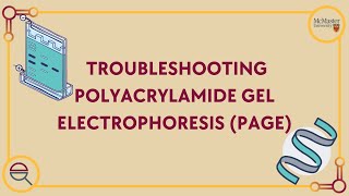 Troubleshooting Polyacrylamide Gel Electrophoresis PAGE [upl. by Elleoj617]