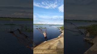 Amazing video fishing lake fishing traditional techniquenature thrownetfishing [upl. by Aikar]