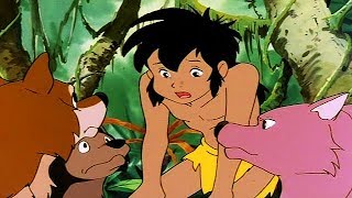 THE JUNGLE BOOK  The Cold Fang  Full Length Episode 7  English KIDFLIX [upl. by Kcirb463]