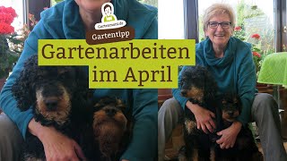 Gartenarbeiten April  Was ist im April im Garten zu tun [upl. by Rattan]