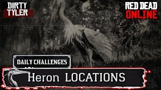 Red Dead Redemption 2  Fastest Way To Get 30 Roseate Spoonbill Plumes  Duchesses and Other Animals [upl. by Madonia379]