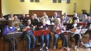 GO UKULELE CRAZY SUTTON COLDFIELD GROUP [upl. by Brittain]