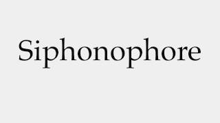 How to Pronounce Siphonophore [upl. by Tatia874]