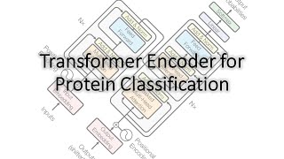 A Very Simple Transformer Encoder for Protein Classification in PyTorch [upl. by Ming]