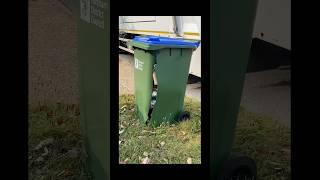 Broken bins in the UK 🫣￼￼ [upl. by Yc]