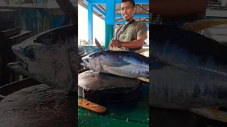 tuna fish cutting by Om Alimuddin cuttingfishtuna fish seafood gianttuna shorts [upl. by Bast]