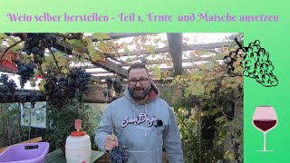 Wein selber herstellen Teil 1 Ernte und Maische ansetzen [upl. by Gavette]