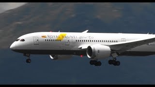 ✈✈成田線に新規就航 ロイヤルブルネイ航空 Royal Brunei Airlines Boeing 7878 香港国際空港 [upl. by Etnad]