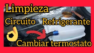 ✅ Limpieza circuito refrigerante ➕ cambio de termostato [upl. by Gavrilla]