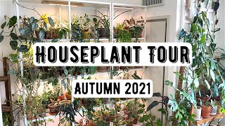 Houseplant Tour 300 Plants  Autumn 2021 [upl. by Surtemed66]