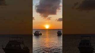 Bonaire bonaire carribean paradise travel island islandlife🌴 [upl. by Giulio]