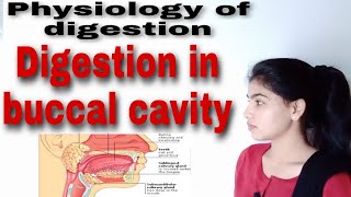 Digestion in buccal cavity  Physiology of digestion [upl. by Nova]