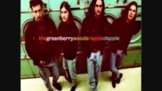 The Greenberry Woods  Ill Send A Message 1994 [upl. by Rosner593]