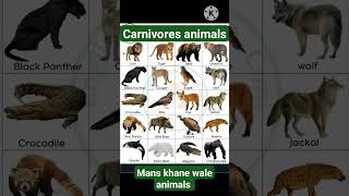 carnivores animals 🐅🐆 list with pictures 🏞️ for students  EVs knowledge for beginners [upl. by Hatnamas]