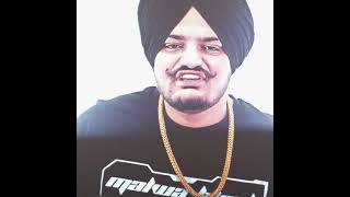 SIDHU MOOSE WALA ⛳🏇  USTAAD JI ❤ 👤  newsong punjabisong 295edits attitude song moosatap [upl. by Kaiulani158]