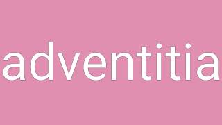 Adventitia Definition amp Meaning [upl. by Noraa]