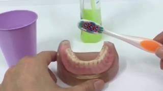 Tips Dentales  Como Limpiar una Dentadura Postiza [upl. by Lidstone422]