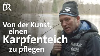 Teichwirtschaft im Winter Fischzucht mit Karpfen Forellen amp Zander  Unter unserem Himmel  BR [upl. by Anestassia]