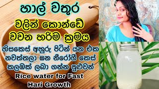 හාල් වතුරෙන් කොන්ඩේ වවන හරිම ක්‍රමය Rice Water for Fast Hair Growth  Grow Long hair Thick hair [upl. by Atenaz]