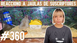 REACCIONO a JAULAS para HAMSTER de SUSCRIPTORES [upl. by Maleen]