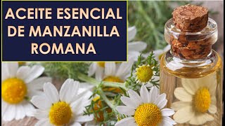 ACEITE ESENCIAL DE MANZANILLA ROMANA BENEFICIOS E INCONVENIENTES [upl. by Colene]