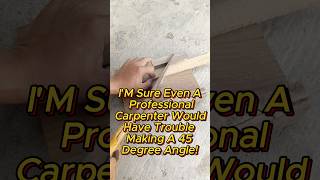 Im sure even a professional carpenter would have [upl. by Maren]