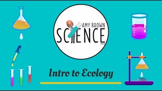 Introduction to Ecology [upl. by Zebadiah]