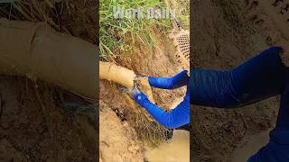 Clearing Blocked Drainage Pipes Unclogging Methods That Work shorts unclog satisfying viralvideo [upl. by Enilamme]