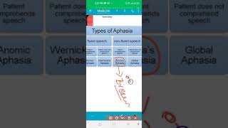 Types of Aphasia  Brocas Aphasia  Wernikes Aphasia mnemonics [upl. by Nosrej208]