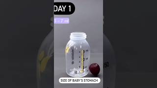 Size of Babies 👶🏻 stomach parentingtips newborn shorts trending breastfeeding shortsfeed [upl. by Teresita]