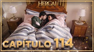 Hercai  Capítulo 114 [upl. by Olney132]