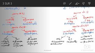 Microbiologie  Les types trophiques [upl. by Priest]