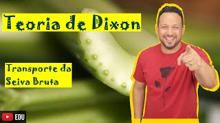 Teoria de Dixon  Teoria da TensãoCoesãoAdesão  Transporte da Seiva Bruta  Fisiologia vegetal [upl. by Aehsila]