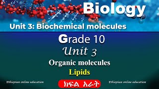 Grade 10 Biology unit 3 part 4  Biochemical molecules  Organic molecules  Lipids [upl. by Neufer]