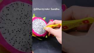 Dragaon fruit growing time lapse126 days in 56seconds cactus dragonfruitcactusyoutubeshorts [upl. by Erelia]