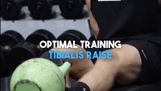 OPTIMAL TRAINING  TIBIALIS RAISE [upl. by Ayinat]