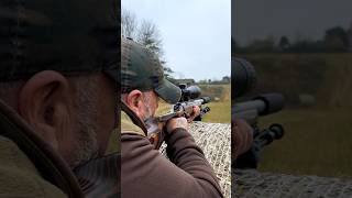 The Silent Assassin Testing 22LR Subsonic Ammo [upl. by Jary]