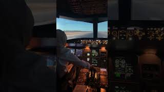 A320 flight sim [upl. by Pampuch]