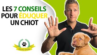 ✅ Education du chiot  7 conseils pour éduquer votre chiot [upl. by Adnertal]