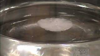 Sodium Acetate Crystals Supersaturated Solution [upl. by Narmi192]