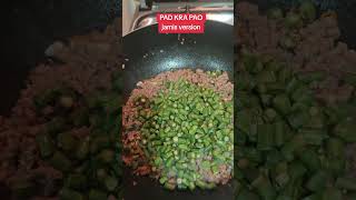 Pad kra pao Thai recipeJamis Version😁😁nocopyrightinfringementintendedmusic [upl. by Mojgan600]