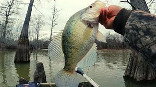 January Crappie fishing with Bobby Garland jigs slip bobbers and a hand tied jig [upl. by Gnolb864]