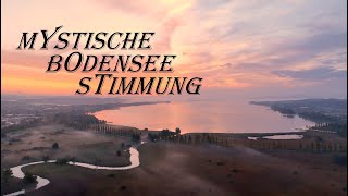 Mystische Herbstnebel Stimmung am BODENSEE  4K [upl. by Enilesoj461]