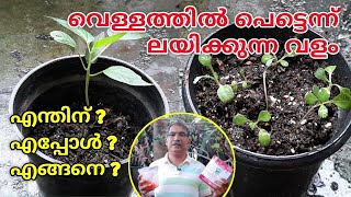 വെള്ളത്തിൽ ലയിക്കുന്ന വളം NPK191919 Water Soluble Fertilizer for Plants When and how to use it [upl. by Oderf]