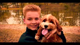 KOBI REESE  PUPPY LOVE  OFFICIAL MUSIC VIDEO [upl. by Bamby]