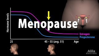 Menopause Perimenopause Symptoms and Management Animation [upl. by Osswald675]