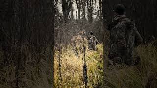 Tracking this buck through the marsh and getting the final shot off last weekend 🏹 hunting archery [upl. by Hctub]