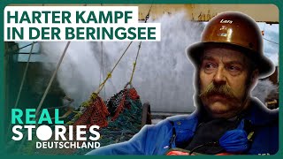 Doku Kampf der Großmächte um Lachs  Frischer Fang im Beringmeer  Real Stories De [upl. by Ettari]